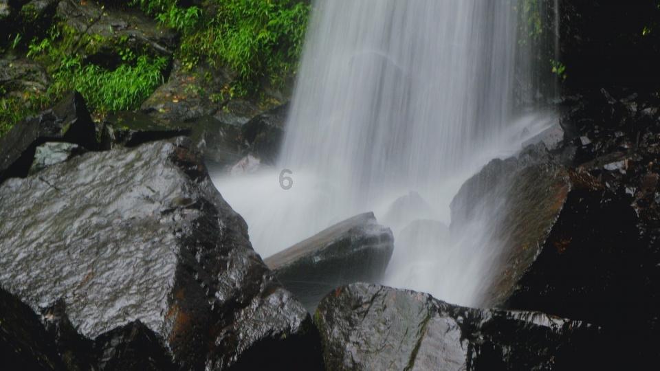 模拟山羊